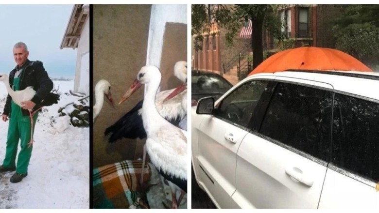 12 Incredible Photos That Will Restore Your Faith in Humanity – Unveiling the Stories Behind the Lens!