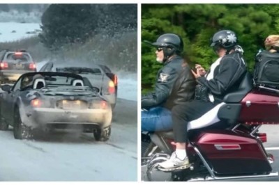 20 Unbelievable Road Encounters That Will Leave You Speechless!