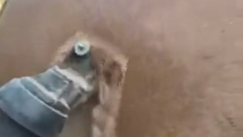 Watch This Hilarious Horse Salon Makeover!