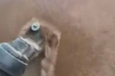 Watch This Hilarious Horse Salon Makeover!