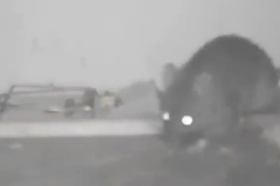 Mouse vs. Trap: The Great Escape!