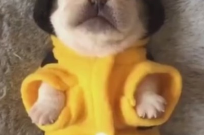 Naptime Antics: Little Boy's Hilarious Sleeping Positions Will Leave You in Stitches!