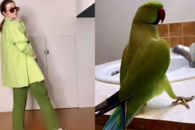 A Dance Duo: The Hilarious Synchronized Choreography of a Woman and a Parakeet