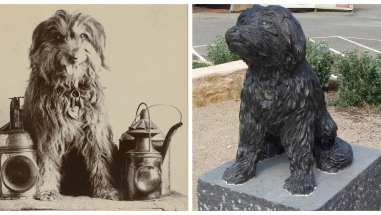 Meet Bob, the Train-Loving Dog Who Rode Thousands of Miles Across Australia