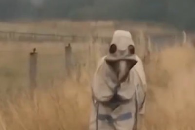 Pet-tacular Comedy: The Best Funny Pet Moments Ever Caught on Camera!