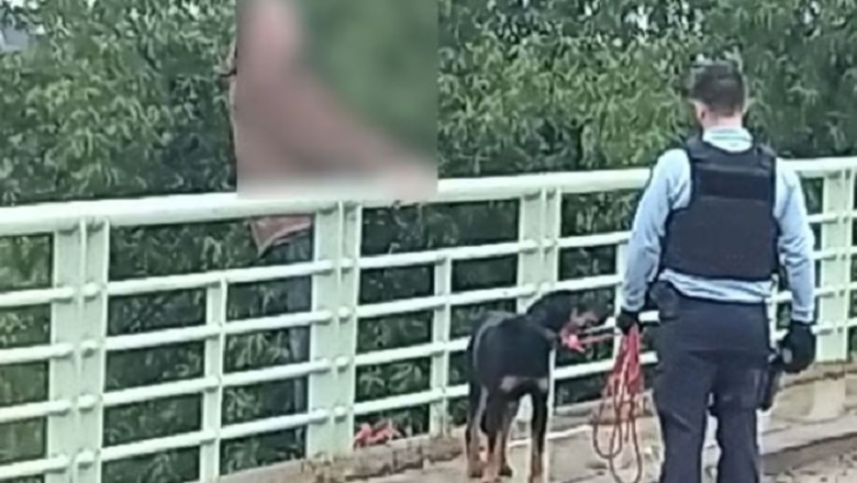 Heartwarming Rescue: Dog's Love Saves Man from Bridge Jump
