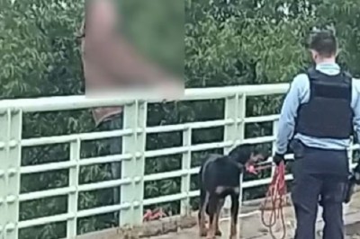 Heartwarming Rescue: Dog's Love Saves Man from Bridge Jump