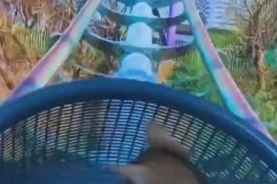 Hang in There! Hilarious Cat Rides a Swing and Steals the Show!