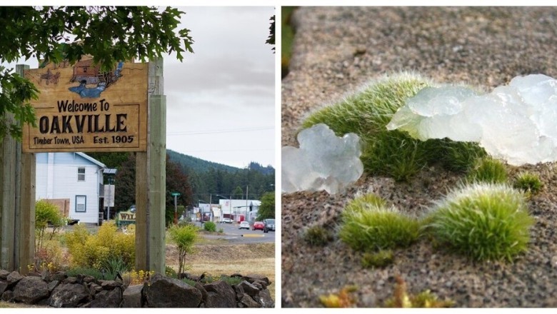 Unveiling the Mystery of the Otherworldly Oakville Substance - What Really Happened?