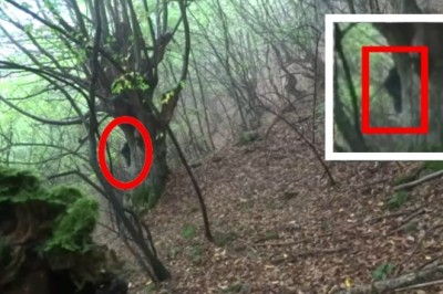 Man Bitten by Mysterious Snake Sparks Social Media Frenzy - What's the Truth Behind the Encounter?