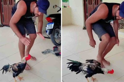 Man Teaches Rooster to Dance like Michael Jackson: A Viral Delight
