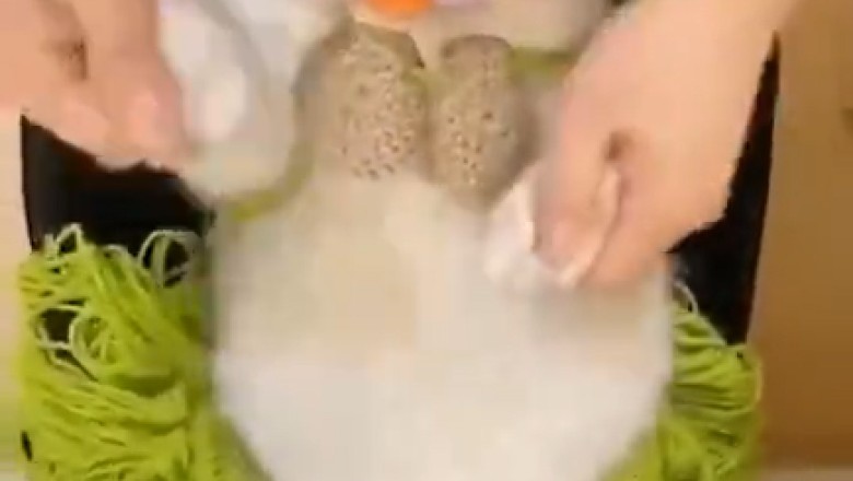 Meow-riffic Moves: Cat Channels Cleopatra in Purrfectly Paw-some Egyptian Dance Routine!