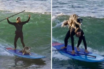 Unlikely Duo Surfs Together and Blows Minds