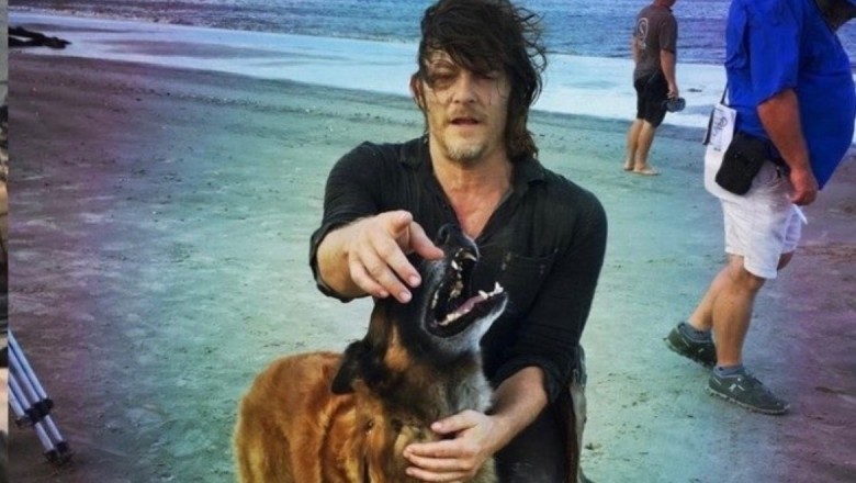 Heartbreak in Hollywood as Beloved Canine Star of ‘The Walking Dead’ Passes Away