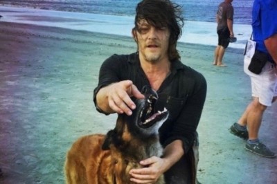 Heartbreak in Hollywood as Beloved Canine Star of ‘The Walking Dead’ Passes Away