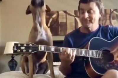 Heartwarming Harmony: Emotional Dog Sings Along to Beatles Classic