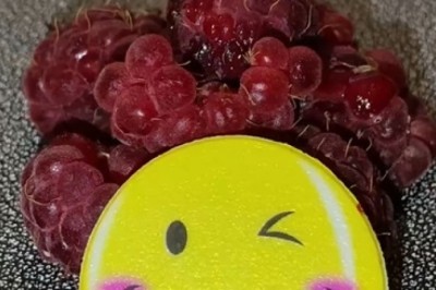 Slow and Hilarious: Snail's Epic Quest for a Meal! | Laugh-out-Loud