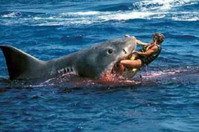 Unveiling the Terror of the