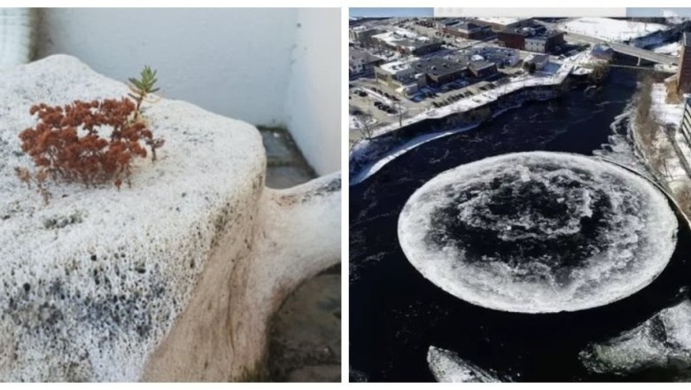 15 Unusual Photos That Captured Extraordinary Moments