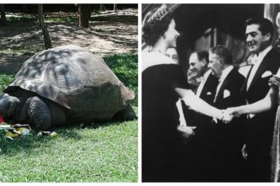 Unveiling Time's Intriguing Mysteries: 10 Mind-Blowing Facts That Will Change How You See the World