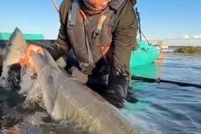 Epic Battle: Watch in Awe as a Man Tackles a Monstrous Fish!