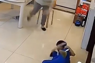 Hilarious Compilation: Prepare to LOL with the Funniest Cat Moments Caught on Camera!