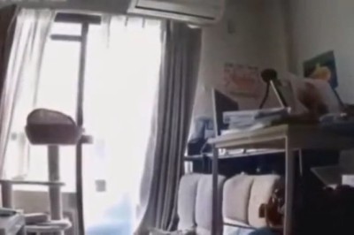 Pawsitively Hilarious: Cat Scientist Attempts Groundbreaking Experiments!