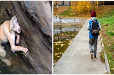 Child Rescues Dog from River, Unveils Shocking Revelation - The Untold Truth Unveiled!