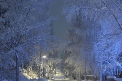 Unbelievable: How a Doctor's Crazy Idea Saved a Frozen Man Found in the Snow