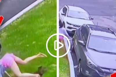 A Comedy of Chases - When a Turkey, a Dog, and a Woman Embark on a Whimsical Adventure