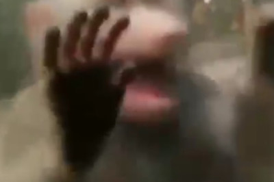 Heartwarming Hijinks: Monkey's Quest for Sympathy Will Melt Your Heart!