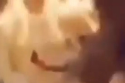 Purr-fectly Adorable: Cute Cat Moments That Will Melt Your Heart!