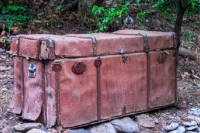 Digging for Gold: What Tom Unearthed in His New Garden Will Leave You Speechless!