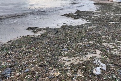 Black Tides: The Fight for Survival on the Kerch Coast