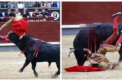Bullfighter's Nightmare: Watch the Shocking Moment Andres Roca Rey Is Gored in Madrid