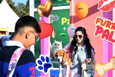 Pet Health Alert: Common Household Items That Could Be Dangerous