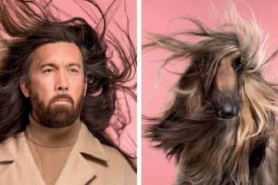 Unleash the Laughter: Humans and Their Dogs Who Look Strikingly Alike!