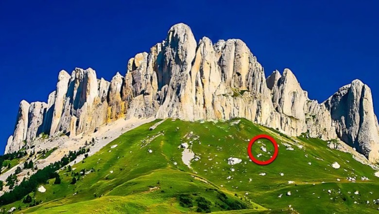 Tourists Discover Secret Genetic Experiment in the Swiss Alps: Uncovering Project Eden!