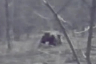 Unraveling the Mystery: The Michigan Dogman Encounter That Will Haunt You!