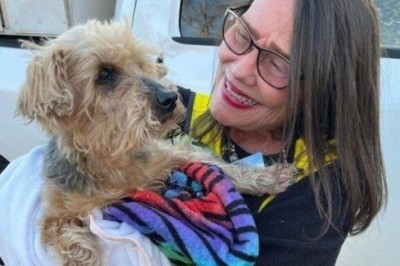 Blind and Deaf Yorkie Rescued After 3 Days: A Heartwarming Reunion That Will Restore Your Faith in Humanity!