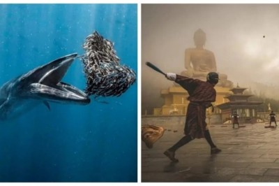 14 Photos from 2024 That Will Captivate You with Their Unique Beauty