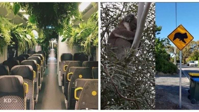 18 Mind-Blowing Travel Discoveries You Never Knew Existed!