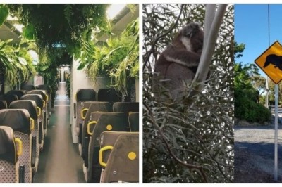 18 Mind-Blowing Travel Discoveries You Never Knew Existed!