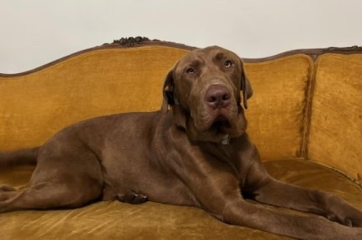 Finding Strength: Erin's Journey of Resilience and Hope Amidst the L.A. Fires