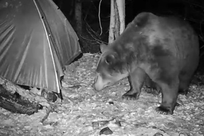 What Happened to My Tent Left Alone in the Mountains for a Month?