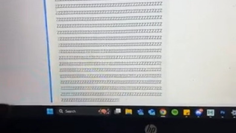 "Code Cat: Feline Programs SSL Certificate!