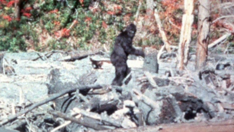 The Hidden Wonders Of Bigfoot: Unraveling Secrets From The Shadows