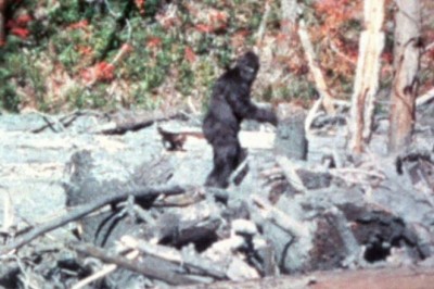 The Hidden Wonders Of Bigfoot: Unraveling Secrets From The Shadows