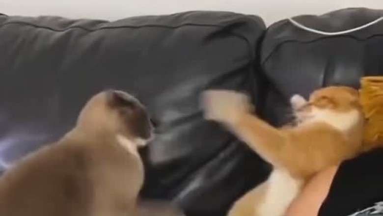 jutjukhjtuejjejjejejjjjjjjjjjjjjjjjjjjjjjjj