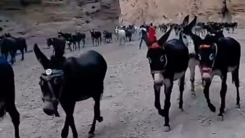Discover Baiyin: Hilarious Highlights and Must-See Spots in Gansu!